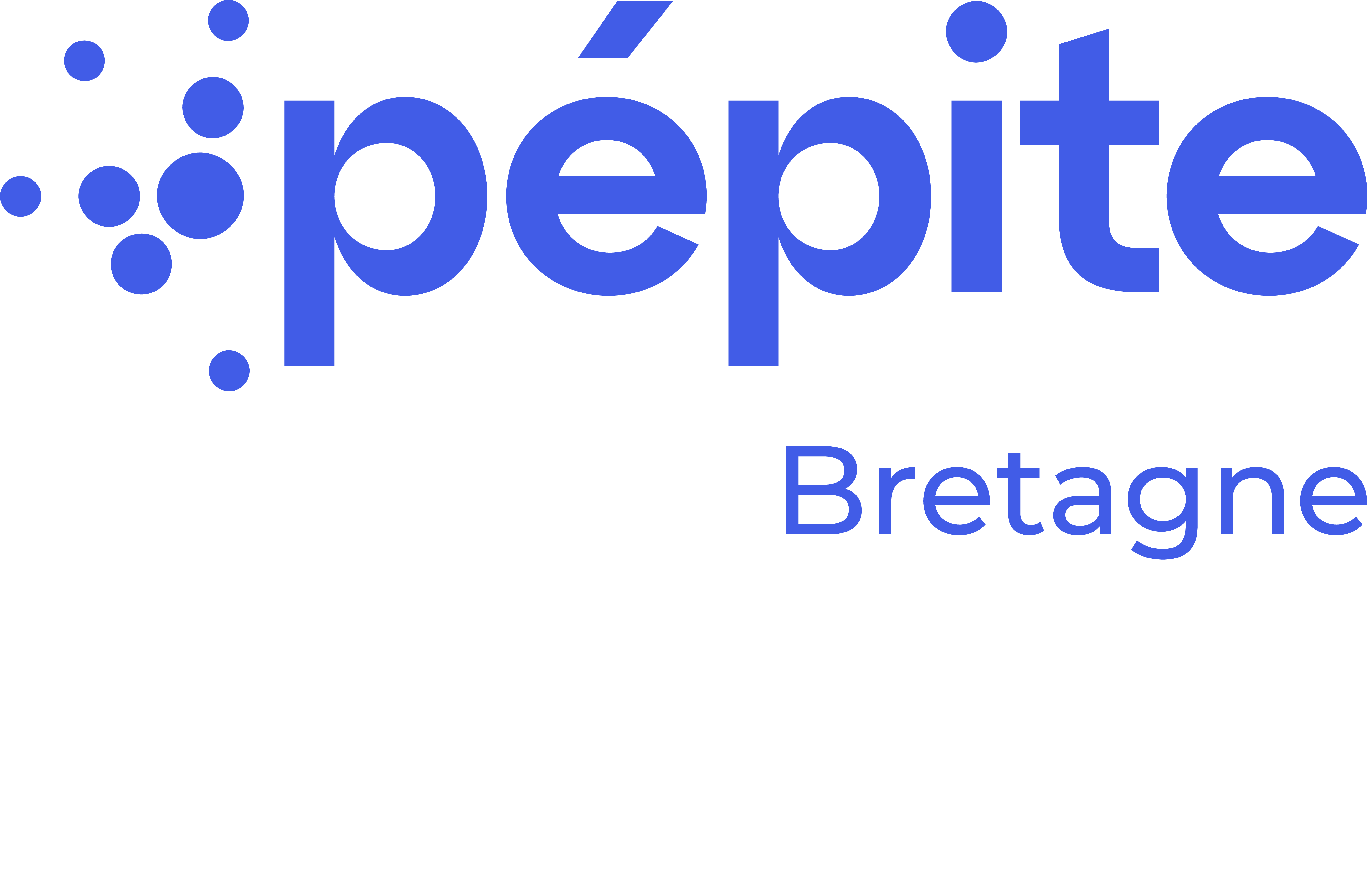 Logo du Pépite Bretagne